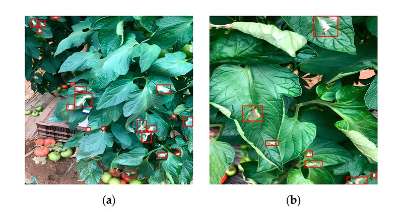 15 Top Machine Learning Applications [+Examples]-6