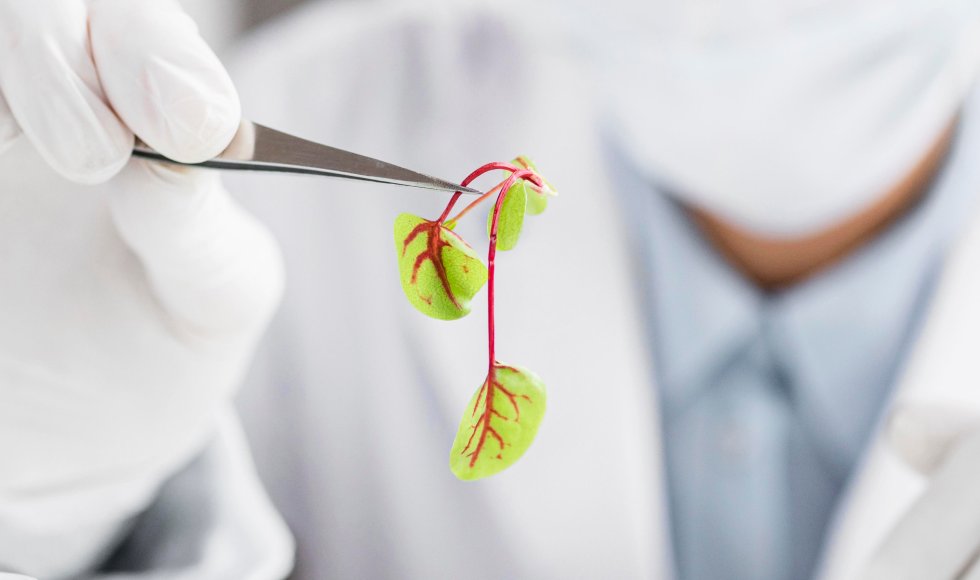 AI health & nutrition assistant platform