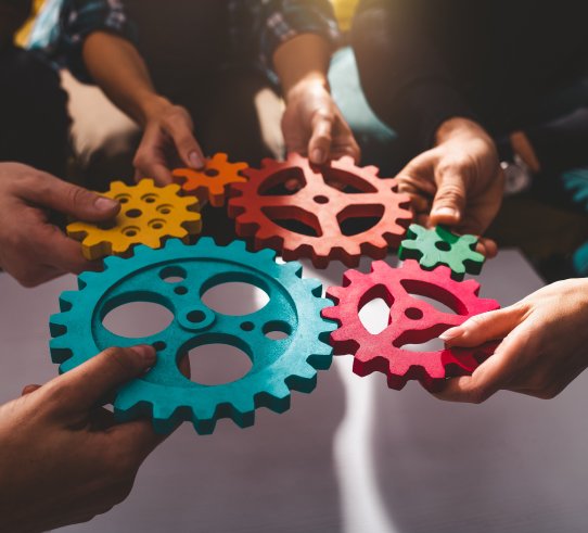 Custom ERP to optimize financial & HR management