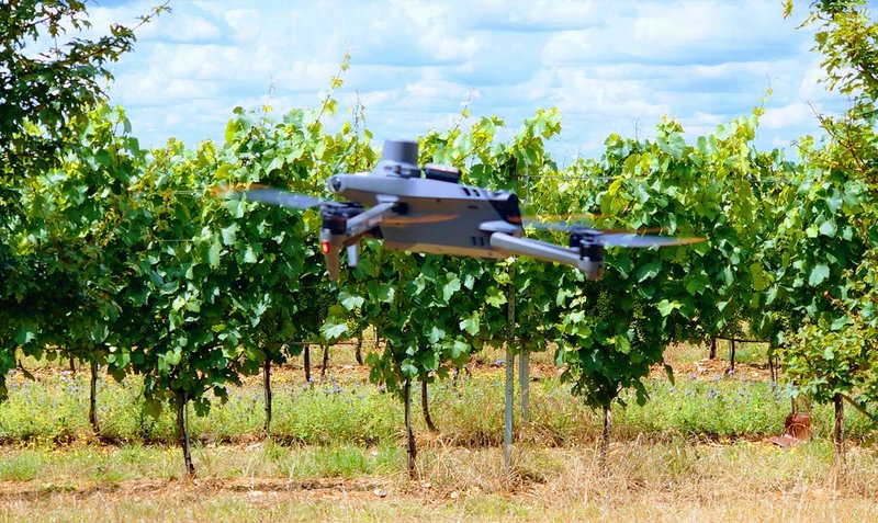 AI in Agriculture_ Examples, Benefits, Challenges-4