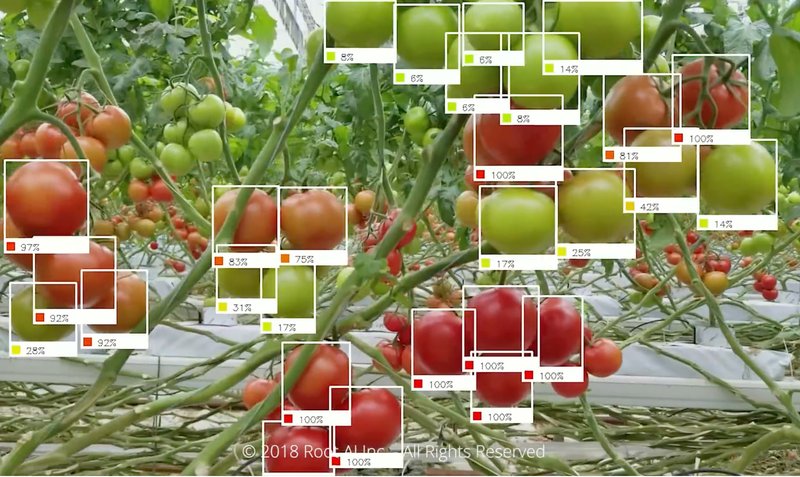 AI in Agriculture_ Examples, Benefits, Challenges-3