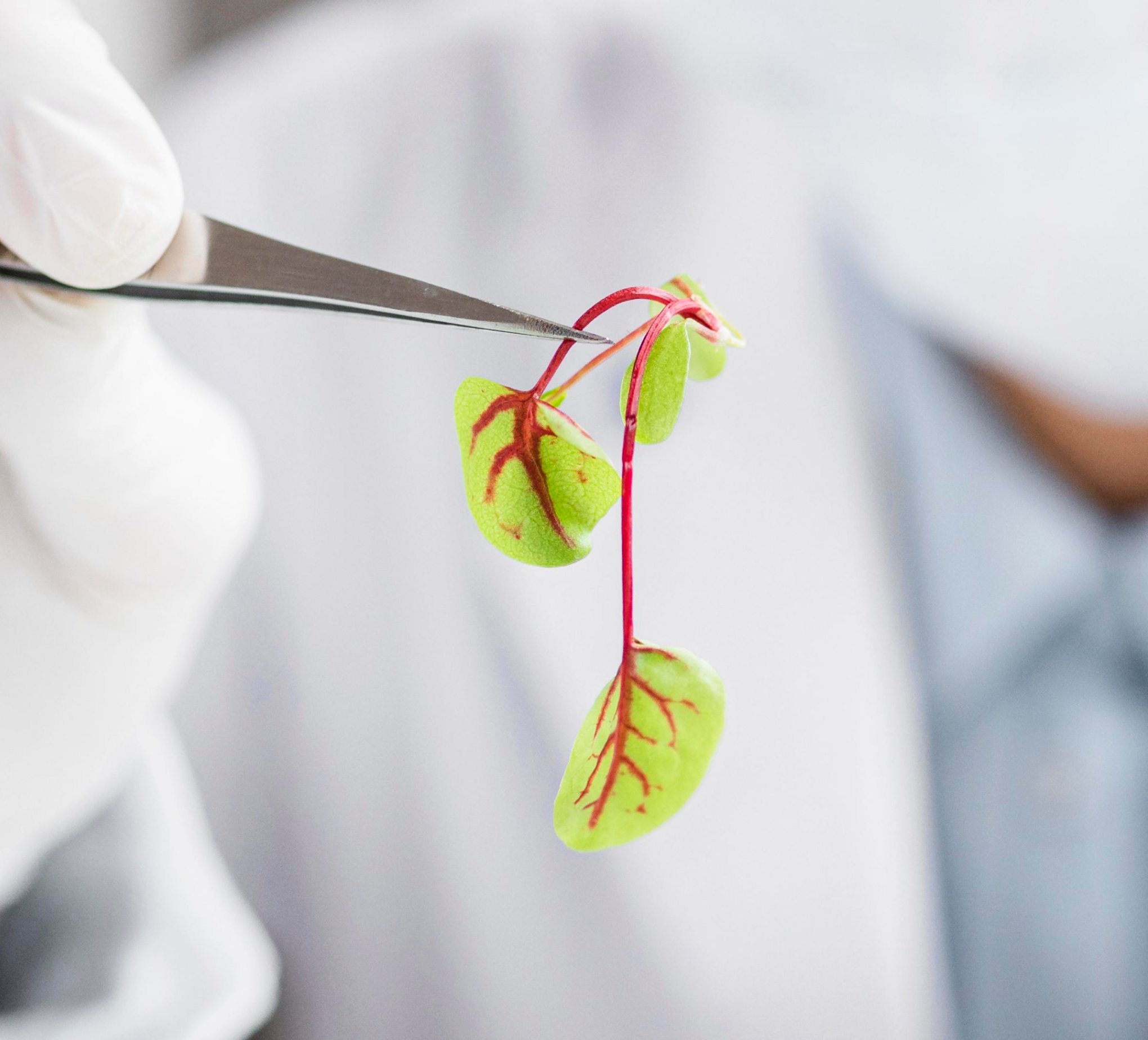 AI health & nutrition assistant platform