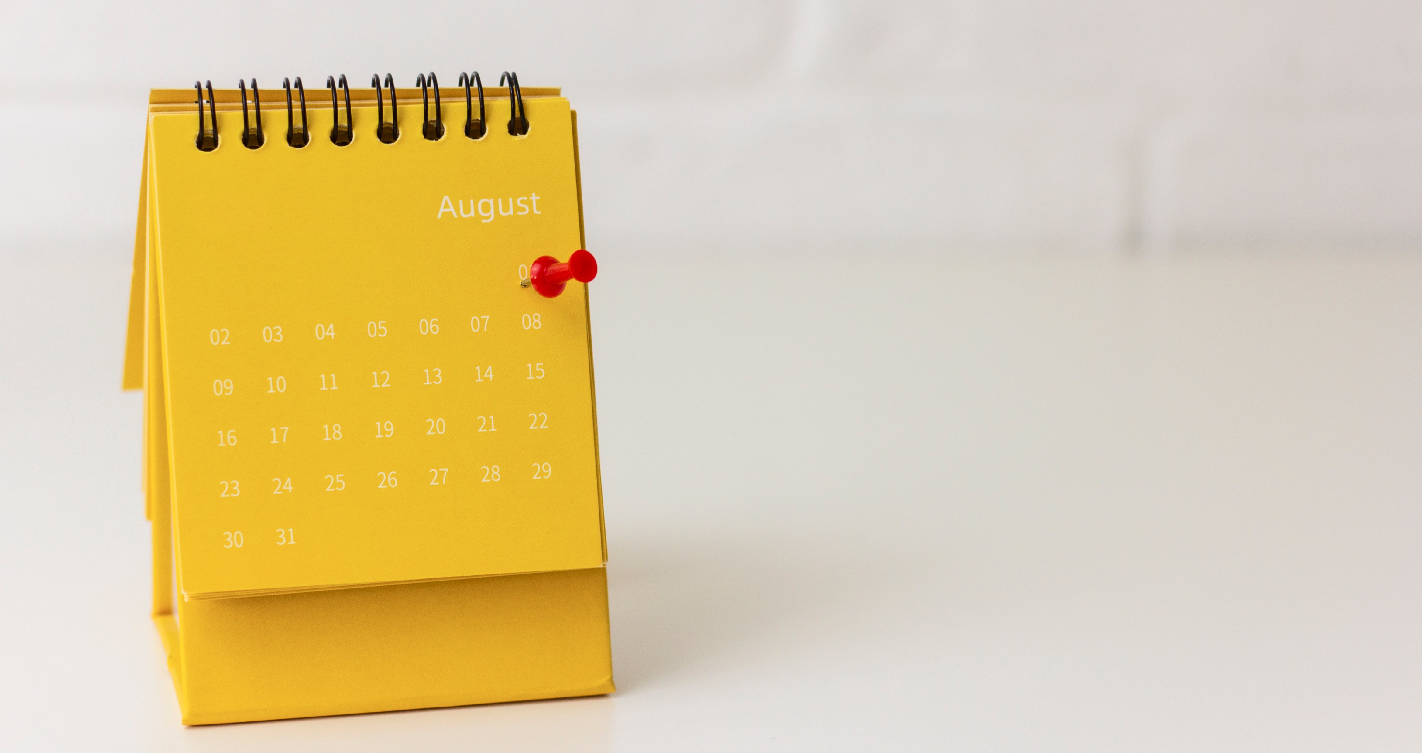 Online booking app development: A full guide for your business