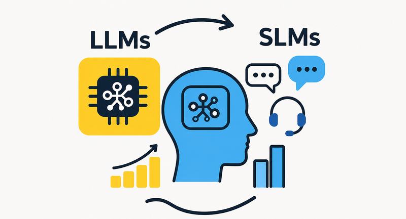 SLMs