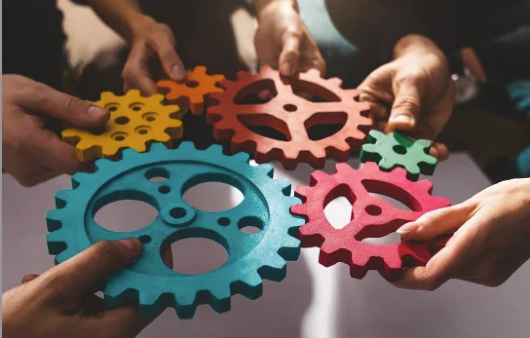 Custom ERP to optimize financial & HR management