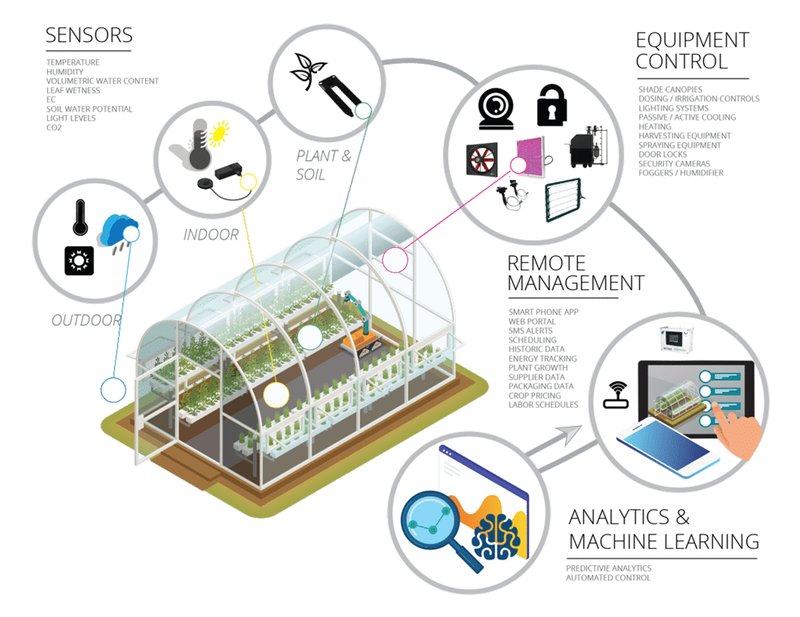 Smart Farming_ Definition, Importance, Types, Examples-6