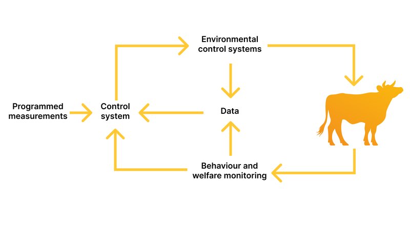 Smart Farming_ Definition, Importance, Types, Examples-2