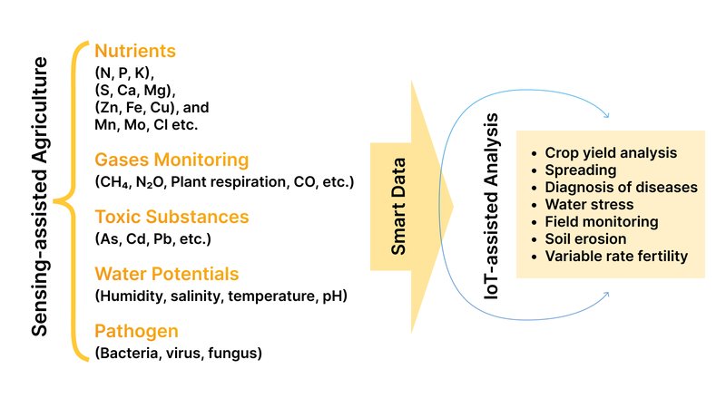 Smart Farming_ Definition, Importance, Types, Examples-3