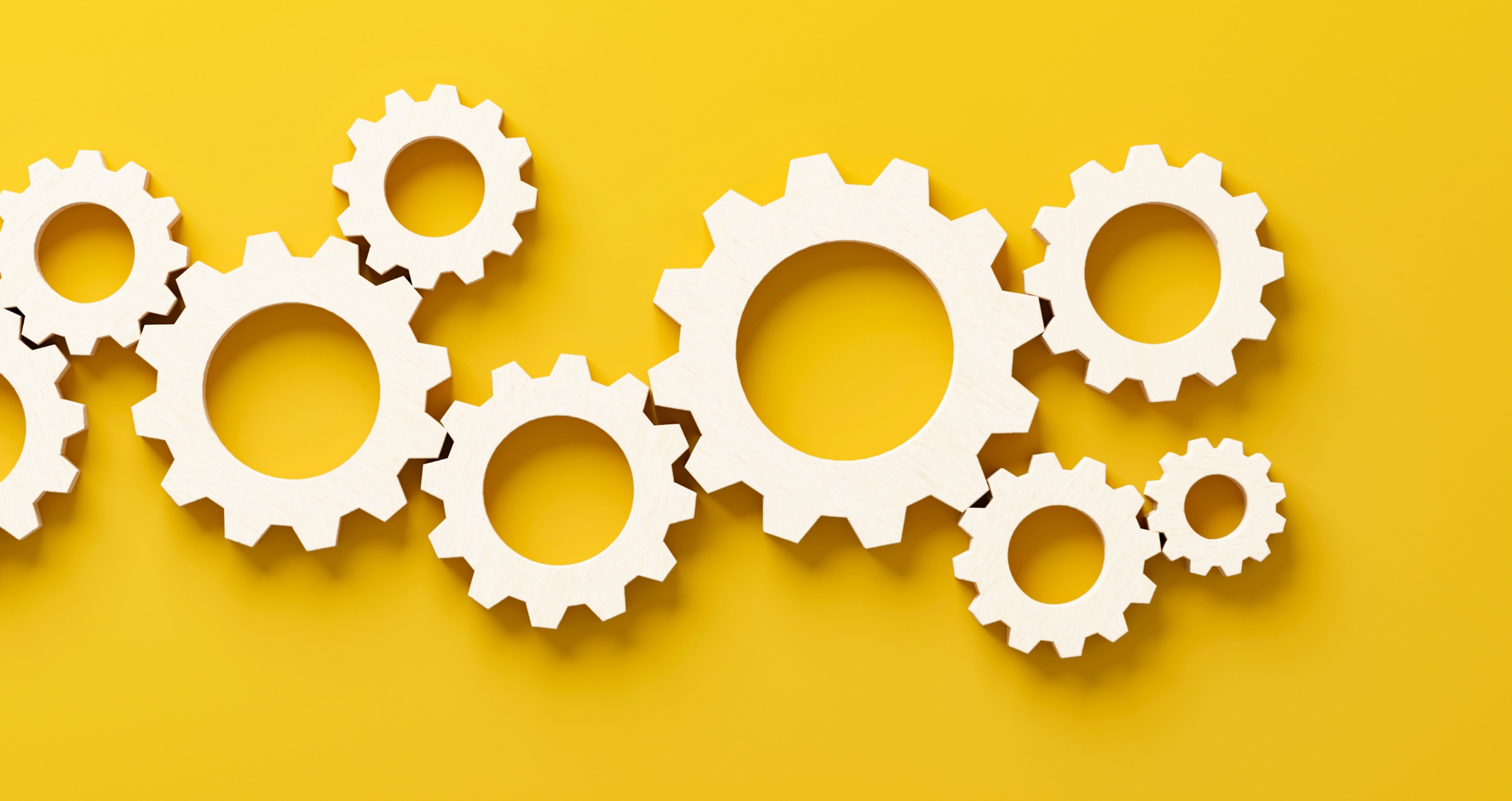 Steps to developing a successful custom CRM