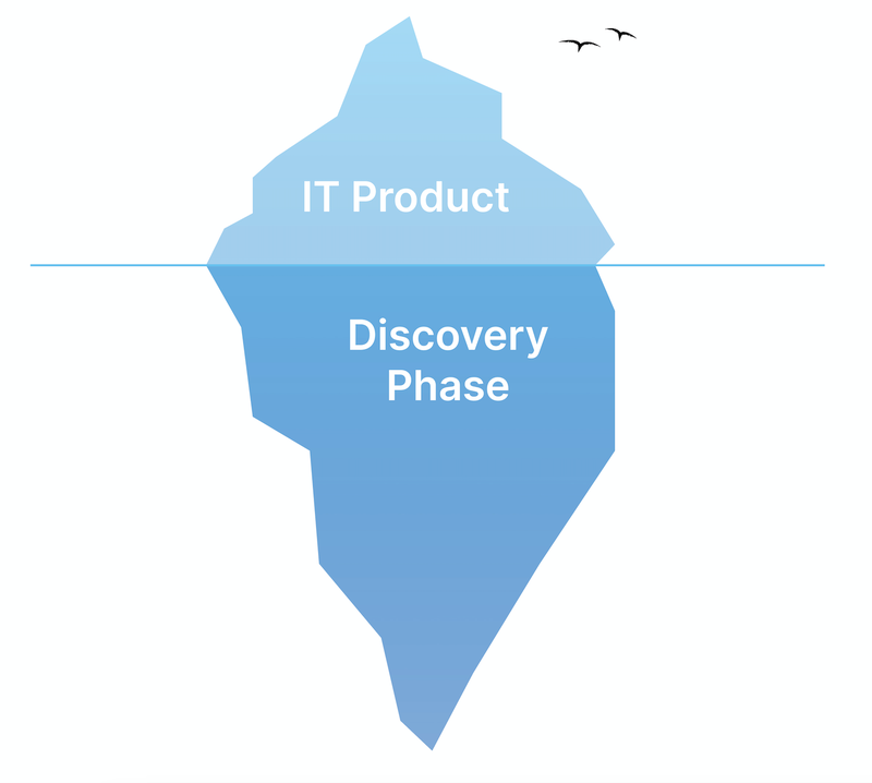 discovery process