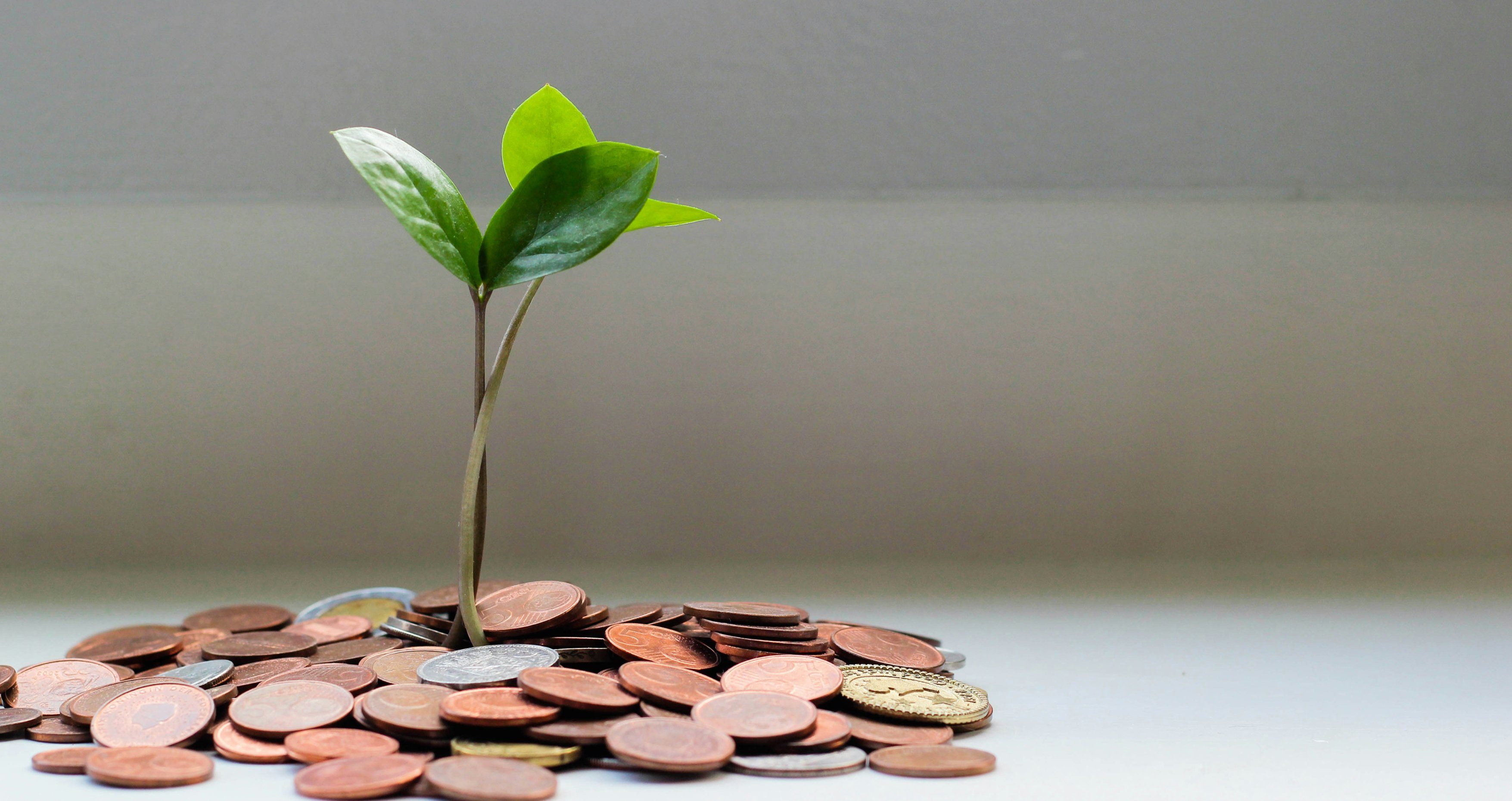 Accounting software development: Benefits, types, features, cost